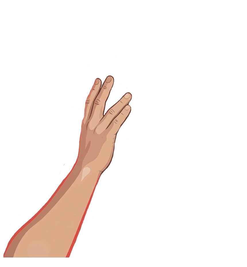 Mano sinistra